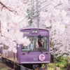 linzor Altpins Profile Picture