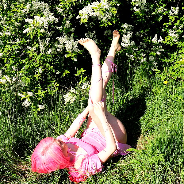 linzor instagram image archive image