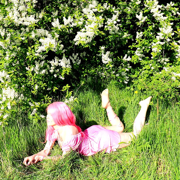 linzor instagram image archive image