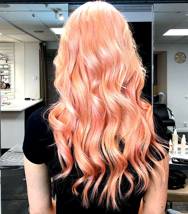 linzor instagram image archive image