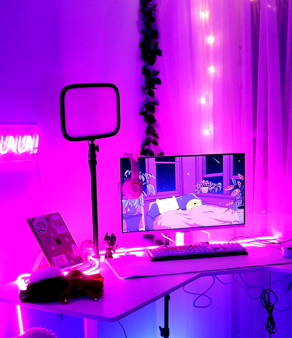 linzor instagram image archive image