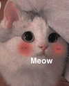 linzor Altpins Profile Picture