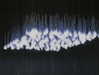 lior_levrun Altpins Profile Picture