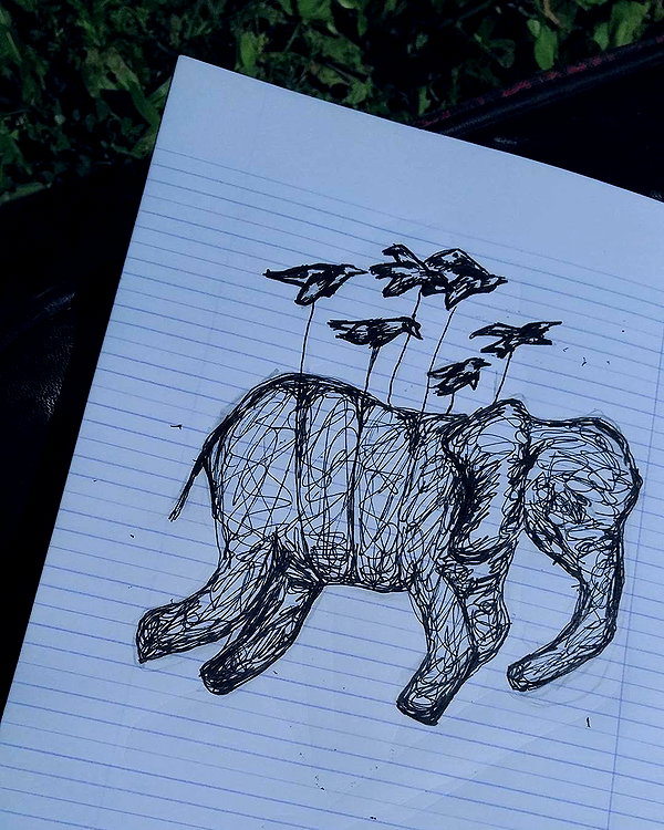 lior_levrun instagram image archive image