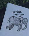 lior_levrun Altpins Profile Picture