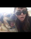 lior_levrun Altpins Profile Picture