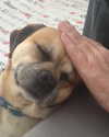 lior_levrun Altpins Profile Picture