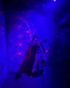 lior_levrun Altpins Profile Picture