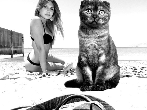 liorelbaz instagram image archive image