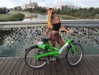 liorelbaz Altpins Profile Picture