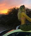 liorelbaz Altpins Profile Picture