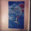 liorelbaz Altpins Profile Picture