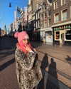 liorelbaz Altpins Profile Picture