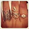 liorelbaz Altpins Profile Picture