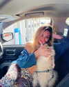 liorelbaz Altpins Profile Picture