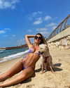 liorelbaz Altpins Profile Picture