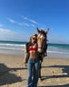 liorelbaz Altpins Profile Picture