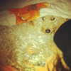 liorelbaz Altpins Profile Picture