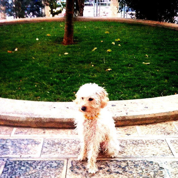 liorelbaz instagram image archive image