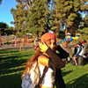 liorelbaz Altpins Profile Picture