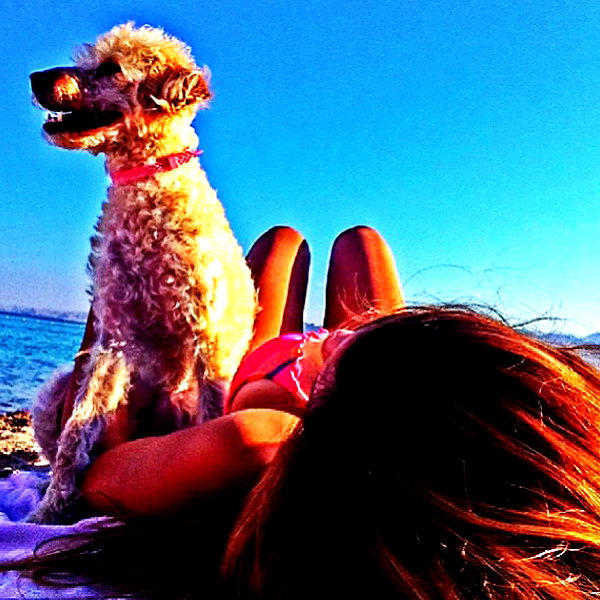 liorelbaz instagram image archive image