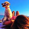 liorelbaz Altpins Profile Picture