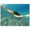 liorelbaz Altpins Profile Picture