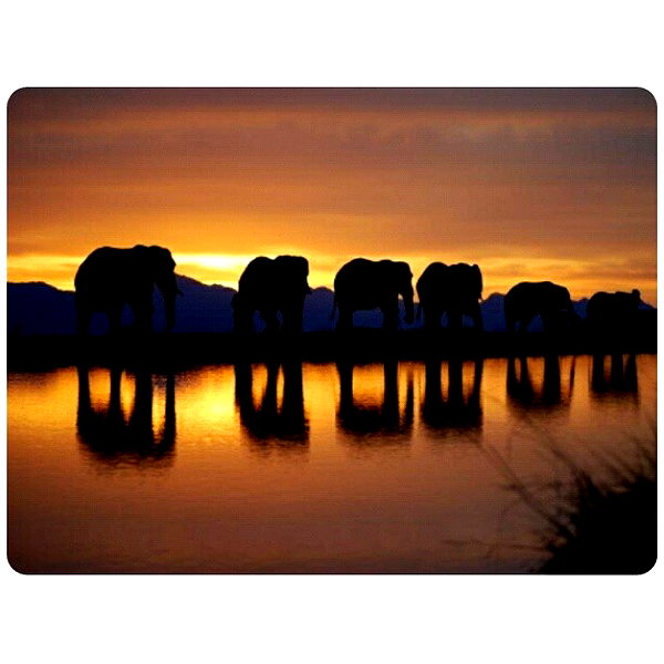 liorelbaz instagram image archive image