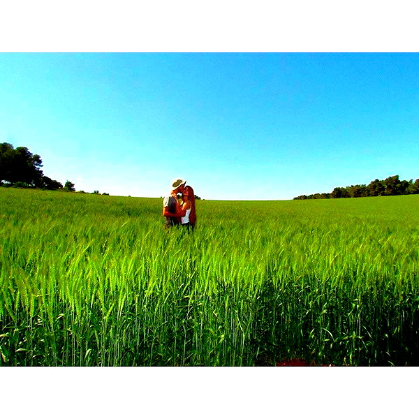 liorelbaz instagram image archive image