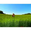 liorelbaz Altpins Profile Picture