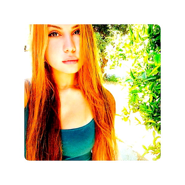 liorelbaz instagram image archive image