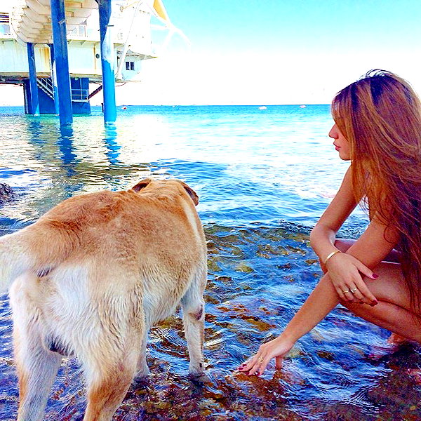 liorelbaz instagram image archive image