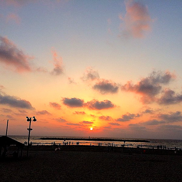liorelbaz instagram image archive image
