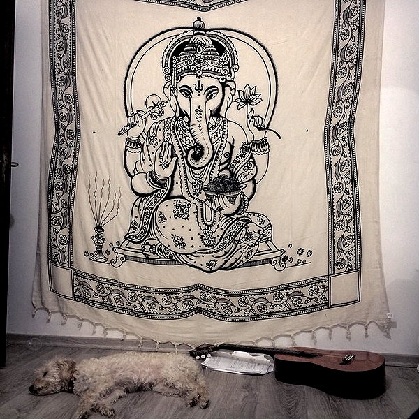 liorelbaz instagram image archive image