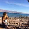 liorelbaz Altpins Profile Picture
