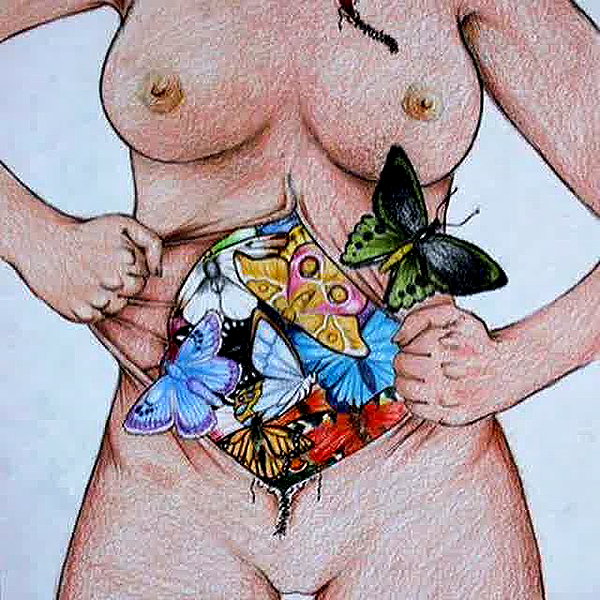 liorelbaz instagram image archive image