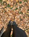 liori_hen Altpins Profile Picture