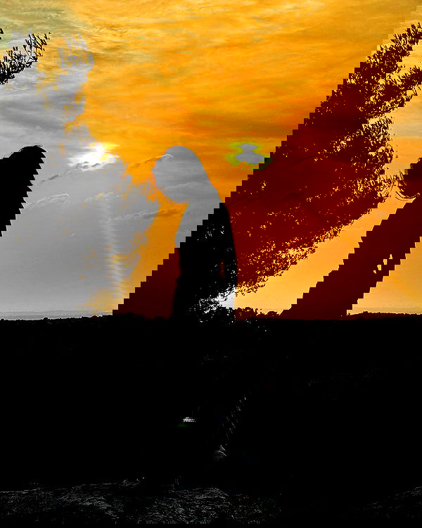 lissi77 lissi77 archive image