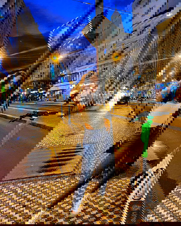 lital.shli lital.shli archive image