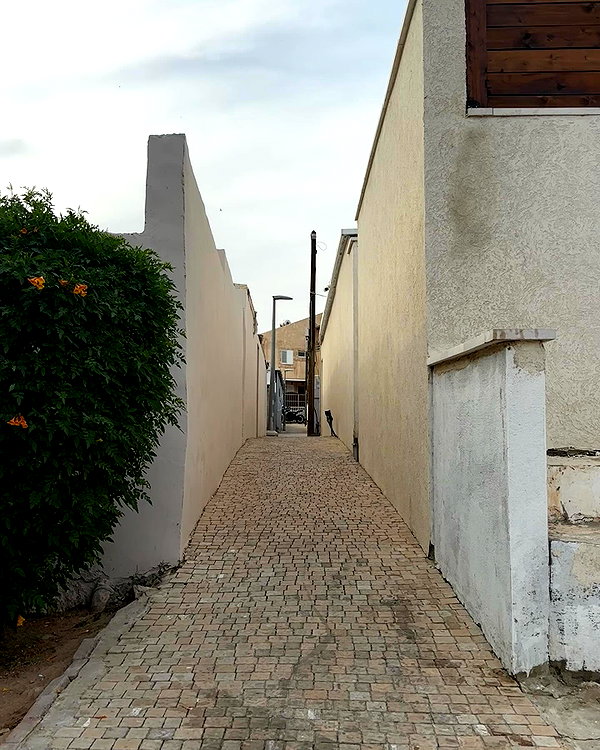litalzikin instagram image archive image