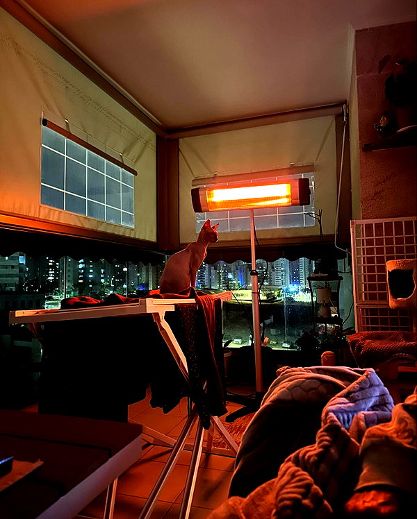 litalzikin instagram image archive image