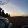 litalzikin Altpins Profile Picture