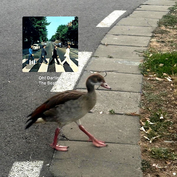 litalzikin instagram image archive image