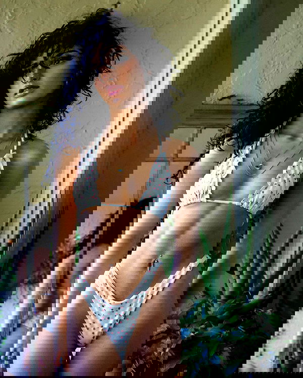 little.warren_ little.warren_ archive image