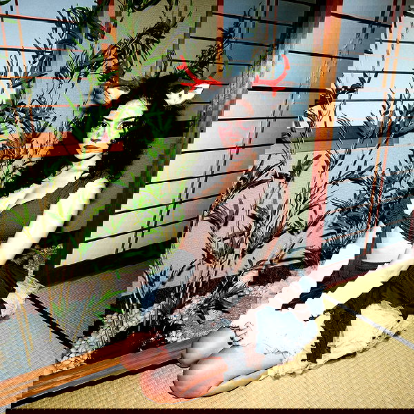 little.warren_ little.warren_ archive image