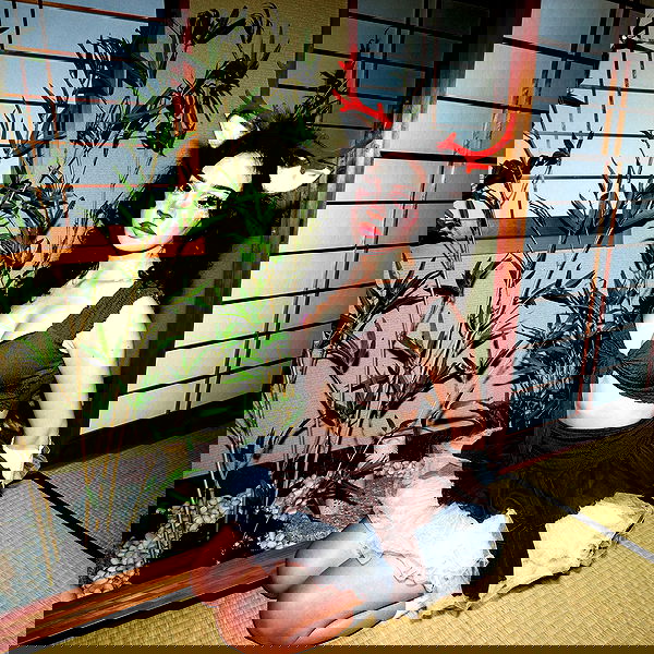 little.warren_ little.warren_ archive image