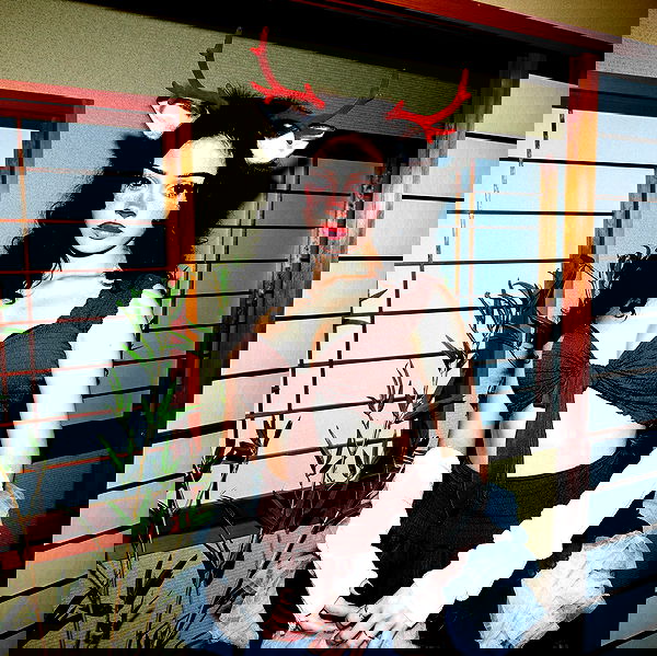 little.warren_ little.warren_ archive image