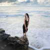 littlelitalp Altpins Profile Picture