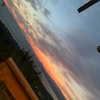 liya_manor_ Altpins Profile Picture