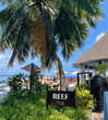 liya_manor_ Altpins Profile Picture